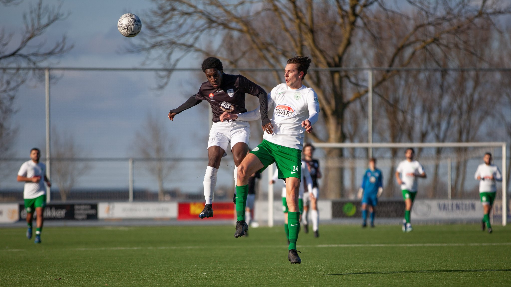 20250301 Aarlanderveen-Meerburg-16.jpg
